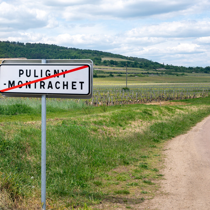 Graeme's Guide to Burgundy for Beginners